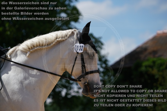 s_K3F04731.JPG